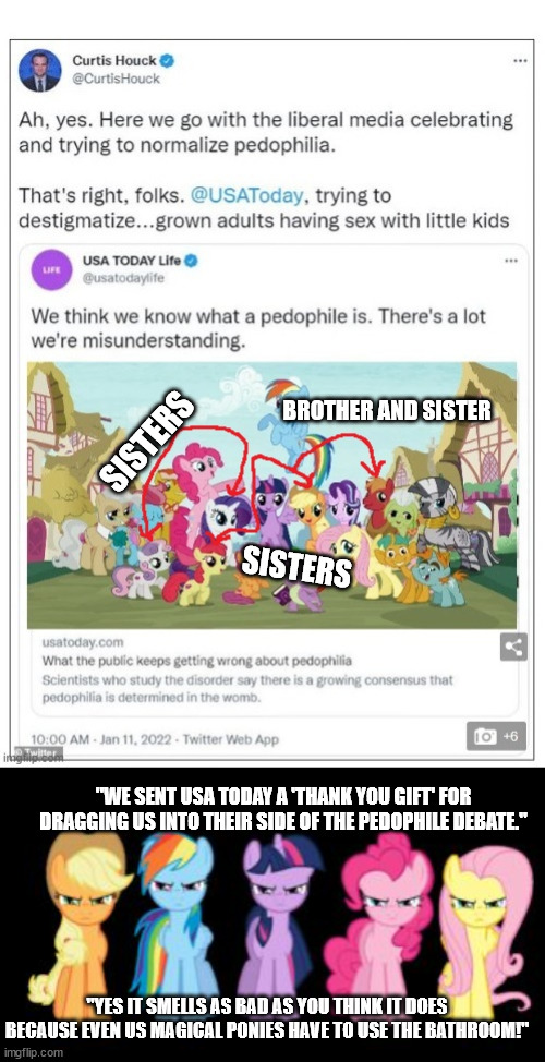 The only misunderstanding is that USA Today doesn't understand MLP and their stance on pedophilia is absolutely wrong. | BROTHER AND SISTER; SISTERS; SISTERS; "WE SENT USA TODAY A 'THANK YOU GIFT' FOR DRAGGING US INTO THEIR SIDE OF THE PEDOPHILE DEBATE."; "YES IT SMELLS AS BAD AS YOU THINK IT DOES BECAUSE EVEN US MAGICAL PONIES HAVE TO USE THE BATHROOM!" | image tagged in angry mlp,pedophilia,stupid liberals,msm lies | made w/ Imgflip meme maker