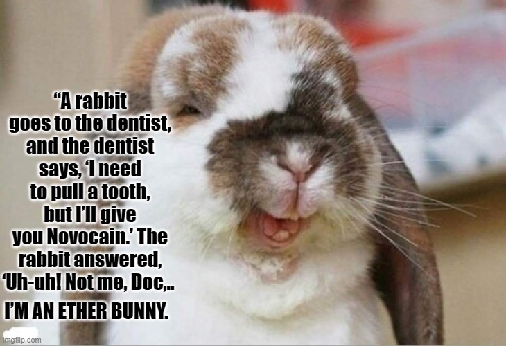 Rabbit goes to the dentist | “A rabbit goes to the dentist, and the dentist says, ‘I need to pull a tooth, but I’ll give you Novocain.’ The rabbit answered, ‘Uh-uh! Not me, Doc,.. I’M AN ETHER BUNNY. | image tagged in stoned rabbit,rabbit,dentist,easter,dad joke | made w/ Imgflip meme maker