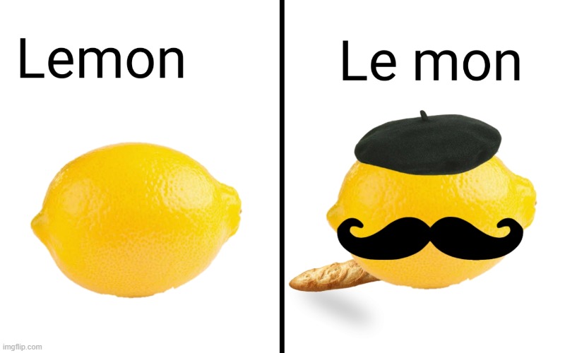 image tagged in lemons,french lemons | made w/ Imgflip meme maker