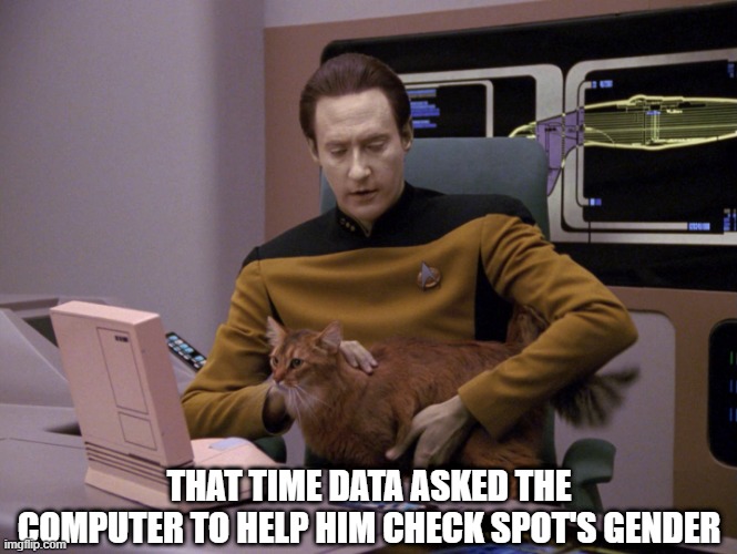 Rubbin Genitalia | THAT TIME DATA ASKED THE COMPUTER TO HELP HIM CHECK SPOT'S GENDER | image tagged in spot,data | made w/ Imgflip meme maker