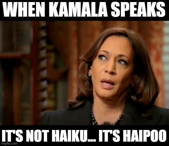 WHEN KAMALA SPEAKS; IT'S NOT HAIKU... IT'S HAIPOO | made w/ Imgflip meme maker