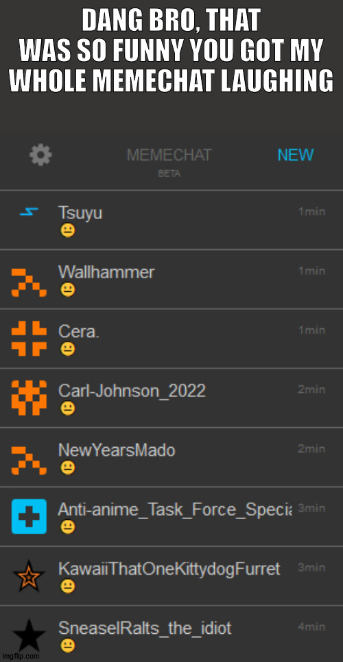 also, these are some of the users that follow me. not all of them | DANG BRO, THAT WAS SO FUNNY YOU GOT MY WHOLE MEMECHAT LAUGHING | image tagged in not funny | made w/ Imgflip meme maker