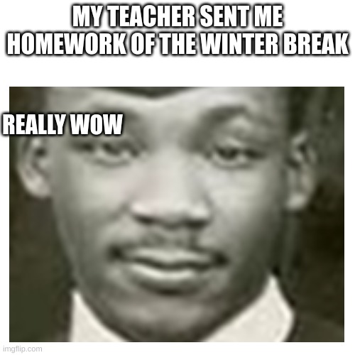 meme bro | MY TEACHER SENT ME HOMEWORK OF THE WINTER BREAK; REALLY WOW | image tagged in good job you can read,love you not in a gay way | made w/ Imgflip meme maker