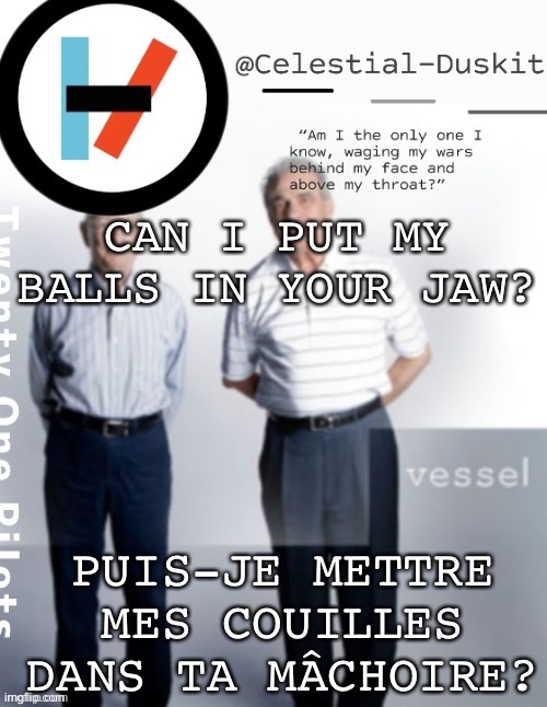 Duskit’s vessel temp ty cheesecaketherat | CAN I PUT MY BALLS IN YOUR JAW? PUIS-JE METTRE MES COUILLES DANS TA MÂCHOIRE? | image tagged in duskit s vessel temp ty cheesecaketherat | made w/ Imgflip meme maker