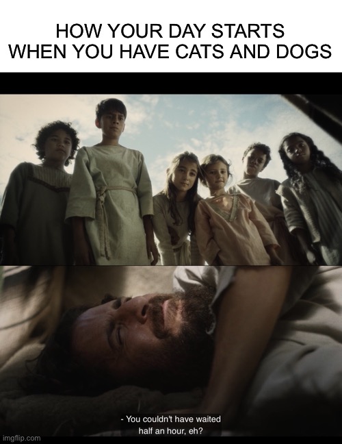 HOW YOUR DAY STARTS WHEN YOU HAVE CATS AND DOGS | image tagged in blank white template,the chosen | made w/ Imgflip meme maker