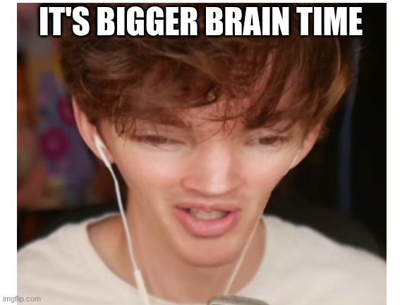 Its  bigger brain time | IT'S BIGGER BRAIN TIME | image tagged in memes,flamingo,roblox | made w/ Imgflip meme maker