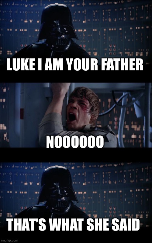 Dad jokes | LUKE I AM YOUR FATHER; NOOOOOO; THAT’S WHAT SHE SAID | image tagged in memes,star wars no | made w/ Imgflip meme maker