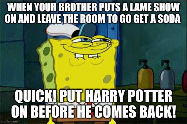 Don't You Squidward Meme | WHEN YOUR BROTHER PUTS A LAME SHOW ON AND LEAVE THE ROOM TO GO GET A SODA; QUICK! PUT HARRY POTTER ON BEFORE HE COMES BACK! | image tagged in memes,don't you squidward | made w/ Imgflip meme maker