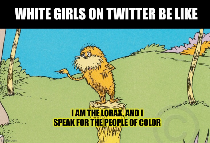 I speak for the....... | WHITE GIRLS ON TWITTER BE LIKE; I AM THE LORAX, AND I SPEAK FOR THE PEOPLE OF COLOR | made w/ Imgflip meme maker