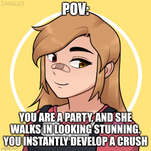 romance rp! enjoy! | POV:; YOU ARE A PARTY, AND SHE WALKS IN LOOKING STUNNING. YOU INSTANTLY DEVELOP A CRUSH | made w/ Imgflip meme maker