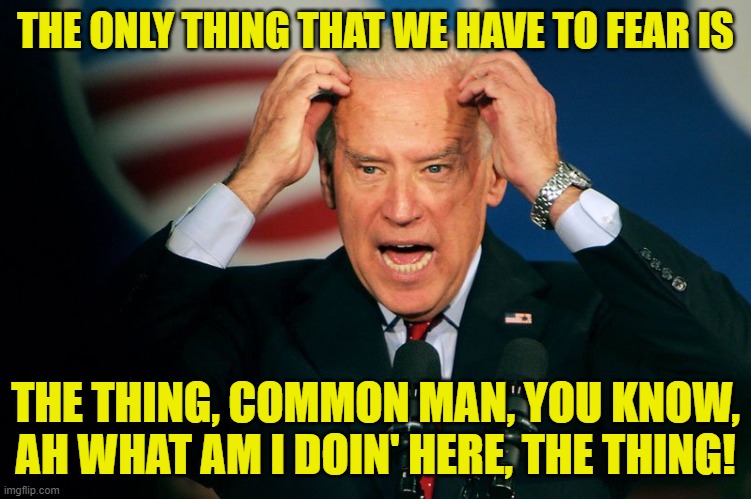 Joe Biden | THE ONLY THING THAT WE HAVE TO FEAR IS THE THING, COMMON MAN, YOU KNOW, AH WHAT AM I DOIN' HERE, THE THING! | image tagged in joe biden | made w/ Imgflip meme maker