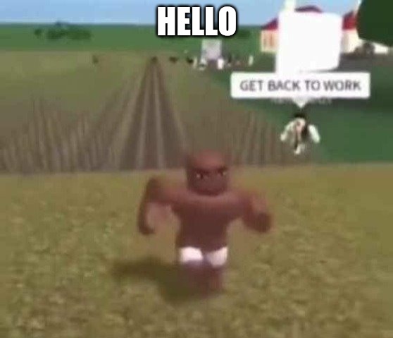 Roblox Slave Work | HELLO | image tagged in roblox slave work | made w/ Imgflip meme maker