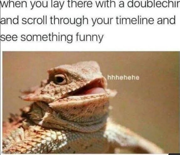 image tagged in memes | made w/ Imgflip meme maker
