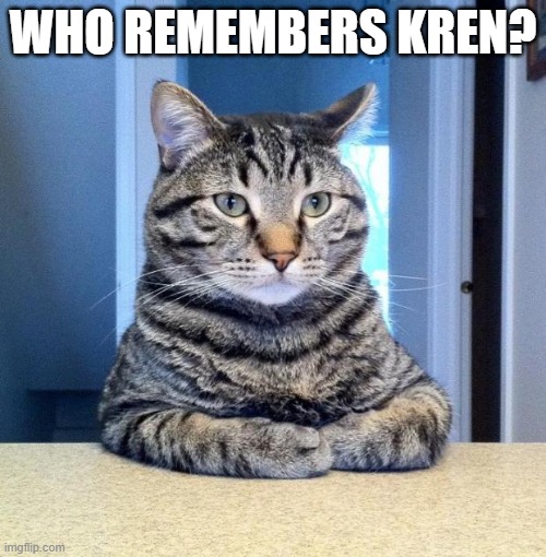 2019... | WHO REMEMBERS KREN? | image tagged in serious cat | made w/ Imgflip meme maker