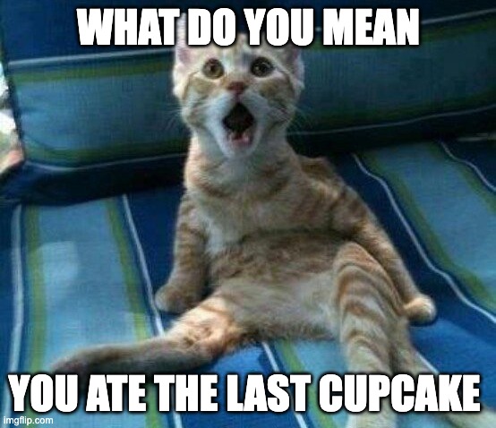 funny cat | WHAT DO YOU MEAN; YOU ATE THE LAST CUPCAKE | image tagged in funny cat | made w/ Imgflip meme maker