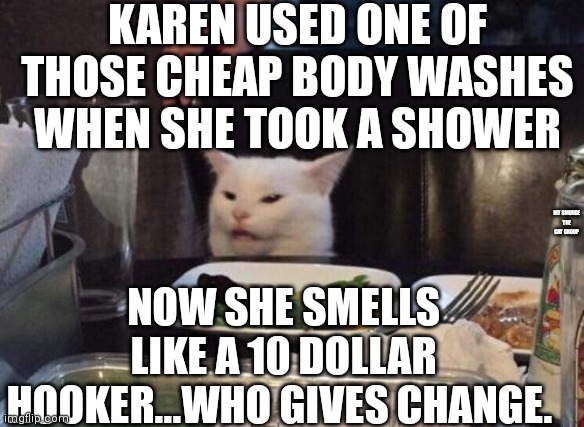 Salad cat | KAREN USED ONE OF THOSE CHEAP BODY WASHES WHEN SHE TOOK A SHOWER; MY SMUDGE THE CAT GROUP; NOW SHE SMELLS LIKE A 10 DOLLAR HOOKER...WHO GIVES CHANGE. | image tagged in salad cat | made w/ Imgflip meme maker