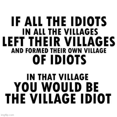 Village Idiot | image tagged in funny | made w/ Imgflip meme maker