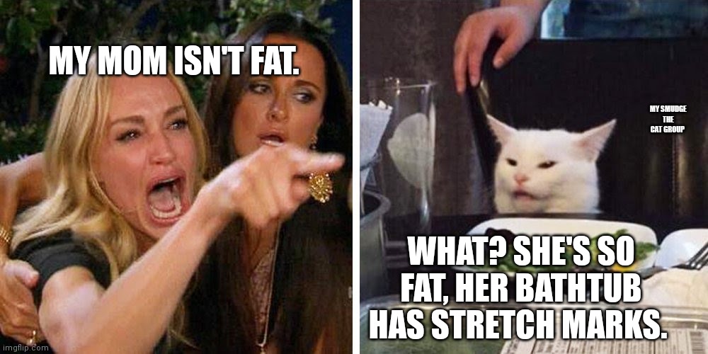 Smudge the cat | MY MOM ISN'T FAT. MY SMUDGE THE CAT GROUP; WHAT? SHE'S SO FAT, HER BATHTUB HAS STRETCH MARKS. | image tagged in smudge the cat | made w/ Imgflip meme maker