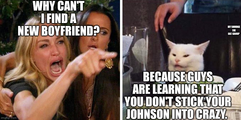 Smudge the cat | WHY CAN'T I FIND A NEW BOYFRIEND? MY SMUDGE THE CAT GROUP; BECAUSE GUYS ARE LEARNING THAT YOU DON'T STICK YOUR JOHNSON INTO CRAZY. | image tagged in smudge the cat | made w/ Imgflip meme maker