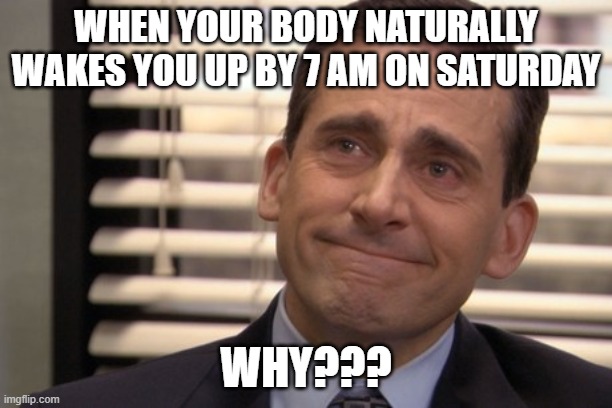 Why | WHEN YOUR BODY NATURALLY WAKES YOU UP BY 7 AM ON SATURDAY; WHY??? | image tagged in michael scott why | made w/ Imgflip meme maker
