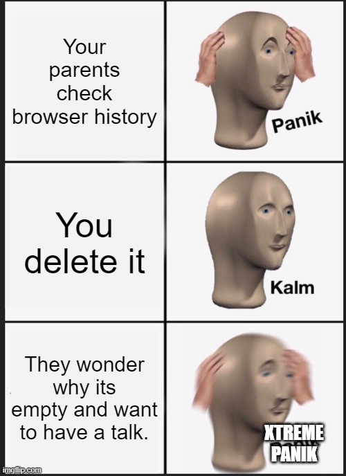 history of your computer |  Your parents check browser history; You delete it; They wonder why its empty and want to have a talk. XTREME PANIK | image tagged in memes,panik kalm panik | made w/ Imgflip meme maker