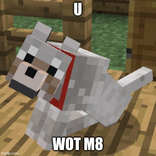 Minecraft wolf | U WOT M8 | image tagged in minecraft wolf | made w/ Imgflip meme maker