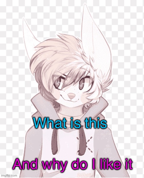 Help me | What is this; And why do I like it | made w/ Imgflip meme maker