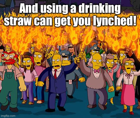 angry mob | And using a drinking straw can get you lynched! | image tagged in angry mob | made w/ Imgflip meme maker