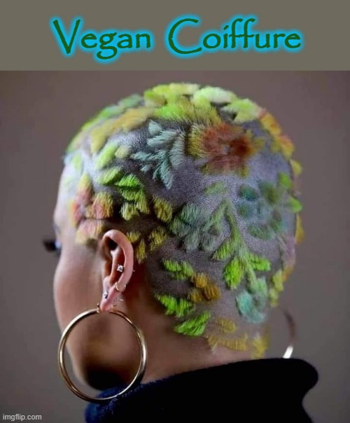 Wearing your hair | Vegan  Coiffure | image tagged in vegans | made w/ Imgflip meme maker