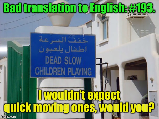 You had one message to translate | Bad translation to English: #193. I wouldn’t expect quick moving ones, would you? | image tagged in bad translations | made w/ Imgflip meme maker
