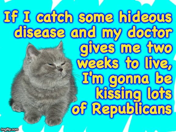 Love you  ( : | If I catch some hideous
disease and my doctor
gives me two
weeks to live,
I'm gonna be
kissing lots
of Republicans | image tagged in teal background,memes,republicans,covid-19,love | made w/ Imgflip meme maker