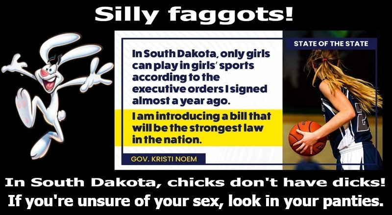 Silly faggots, chicks don't have dicks! | image tagged in silly faggots,gender confusion,look in your panties,faggot,trix rabbit,tired of hearing about transgenders | made w/ Imgflip meme maker