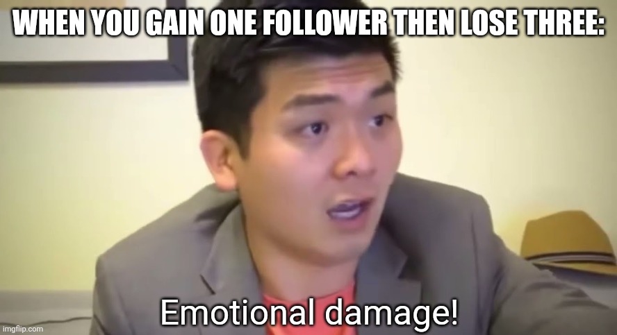 I am what you call rated. Not underrated. Not overrated. Just rated. | WHEN YOU GAIN ONE FOLLOWER THEN LOSE THREE: | image tagged in emotional damage | made w/ Imgflip meme maker
