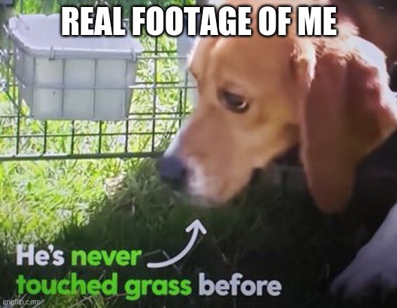 I may not be a "he", but still accurate | REAL FOOTAGE OF ME | image tagged in he's never touched grass before | made w/ Imgflip meme maker
