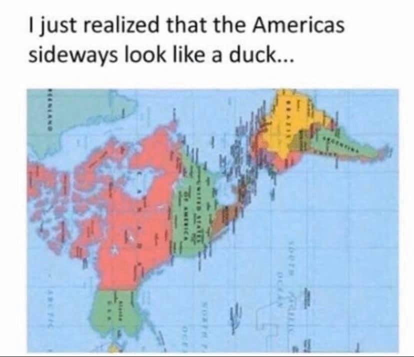 High Quality America duck Blank Meme Template