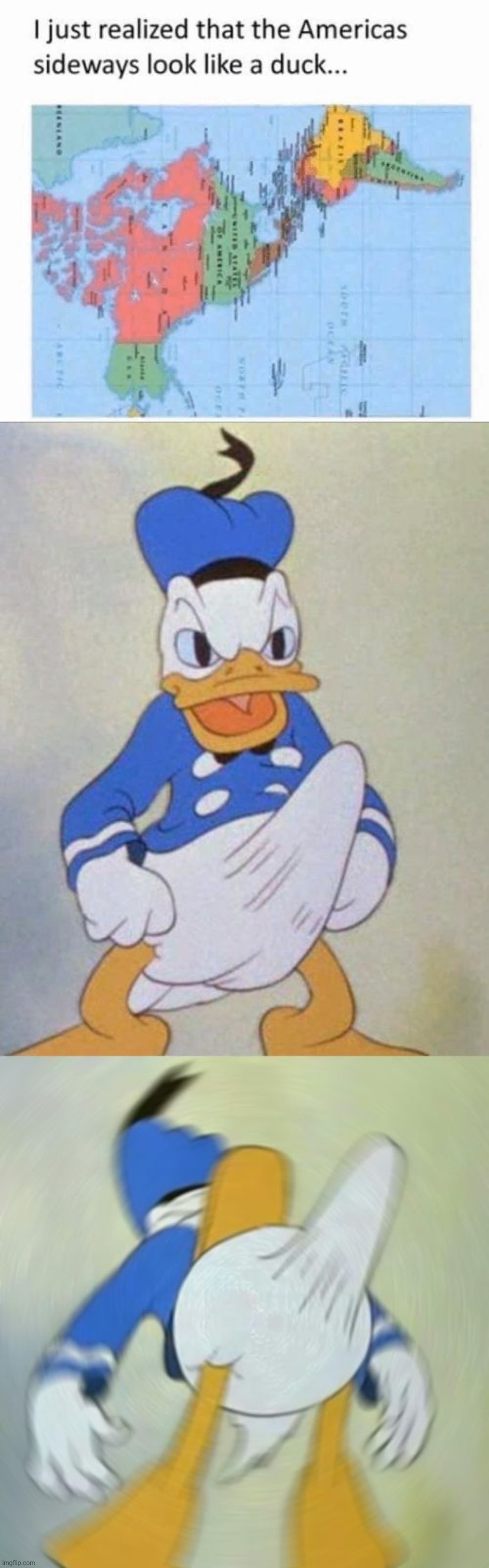 image tagged in america duck,donald duck boner | made w/ Imgflip meme maker