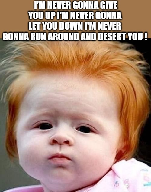 NOT GOING ANY WHERE | I'M NEVER GONNA GIVE YOU UP I'M NEVER GONNA LET YOU DOWN I'M NEVER GONNA RUN AROUND AND DESERT YOU ! | image tagged in red head,meme | made w/ Imgflip meme maker