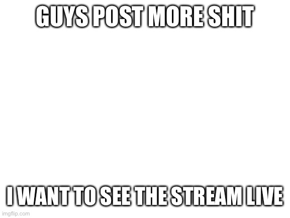Blank White Template | GUYS POST MORE SHIT; I WANT TO SEE THE STREAM LIVE | image tagged in blank white template | made w/ Imgflip meme maker