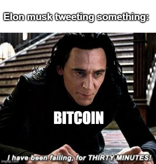 haha | Elon musk tweeting something:; BITCOIN | image tagged in i have been falling for 30 minutes | made w/ Imgflip meme maker