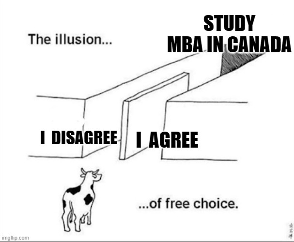 Illusion of MBA | STUDY MBA IN CANADA; I  DISAGREE; I  AGREE | image tagged in illusion of free choice,cow,mba,funny animals,funny,latest | made w/ Imgflip meme maker