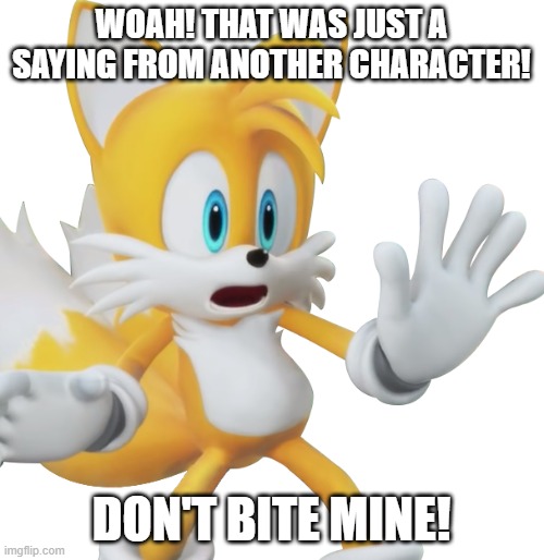 WOAH! THAT WAS JUST A SAYING FROM ANOTHER CHARACTER! DON'T BITE MINE! | made w/ Imgflip meme maker