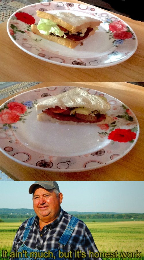 Tried making a sandvich | image tagged in it ain't much but it's honest work | made w/ Imgflip meme maker