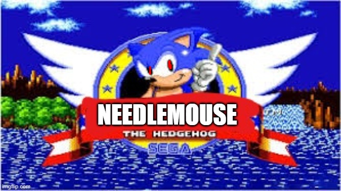 blank the hedgehog | NEEDLEMOUSE | image tagged in blank the hedgehog | made w/ Imgflip meme maker