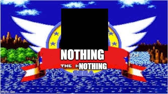 blank the hedgehog | NOTHING; NOTHING | image tagged in blank the hedgehog | made w/ Imgflip meme maker