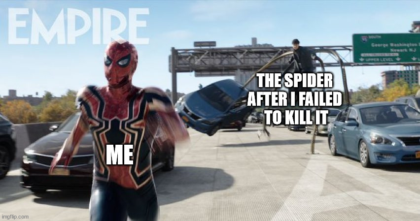 Spider-Man No Way Home | THE SPIDER 
AFTER I FAILED 
TO KILL IT; ME | image tagged in spider-man no way home | made w/ Imgflip meme maker
