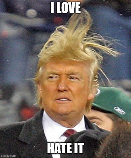Donald Trumph hair | I LOVE; HATE IT | image tagged in donald trumph hair | made w/ Imgflip meme maker