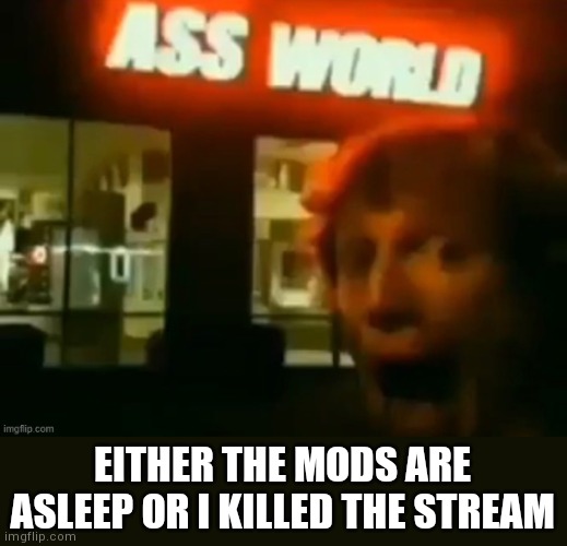 EITHER THE MODS ARE ASLEEP OR I KILLED THE STREAM | made w/ Imgflip meme maker