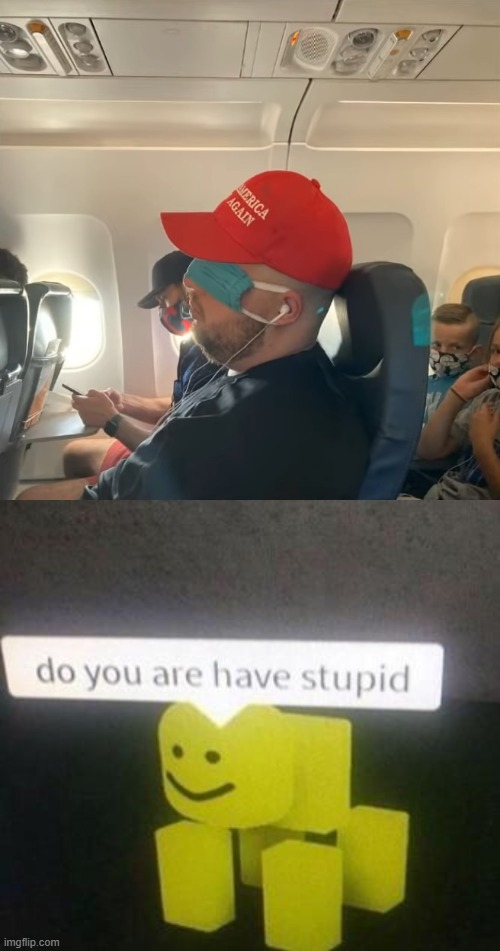 image tagged in do you have stupid | made w/ Imgflip meme maker