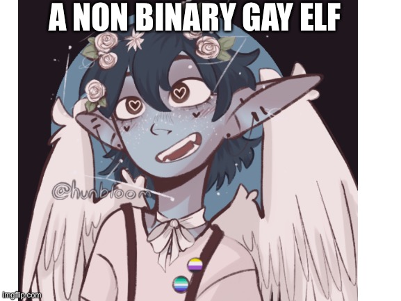 Sky is their name | A NON BINARY GAY ELF | made w/ Imgflip meme maker