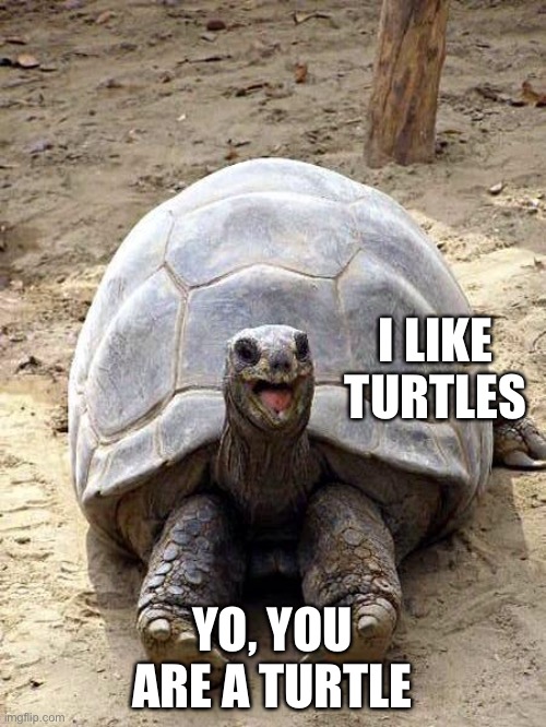 Smiling happy excited tortoise | I LIKE TURTLES; YO, YOU ARE A TURTLE | image tagged in smiling happy excited tortoise | made w/ Imgflip meme maker